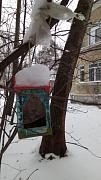 IMG_20161217_135735.jpg