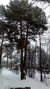 IMG_20161217_135904.jpg