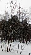 IMG_20161217_140007.jpg