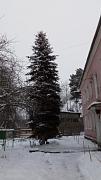 IMG_20161217_140110.jpg