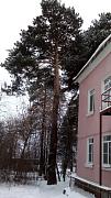 IMG_20161217_140234.jpg