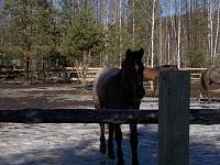 DSCN1046.jpg