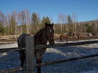 DSCN1048.jpg