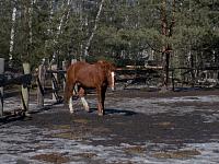 DSCN1049.jpg