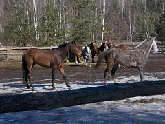 DSCN1051.jpg