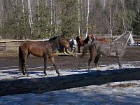 DSCN1051.jpg