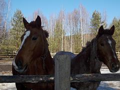 DSCN1052.jpg