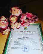 Smd0nfWC2W80266.jpg