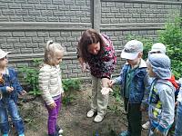 image_(12).jpg