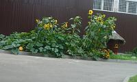 20170830_110905a6e2.jpg