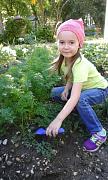 IMG-20170731-WA0018a880.jpg