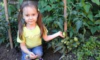 IMG-20170731-WA0030d243.jpg
