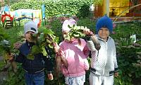 IMG-20160906-WA00019a8f.jpg