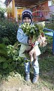 IMG-20160906-WA0010fad3.jpg