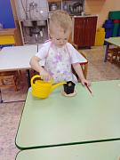 IMG_20190329_0913271.jpg