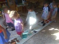 IMG_20180906_095512.jpg