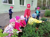 IMG_20190705_114600.jpg