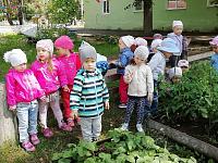 IMG_20190709_102258.jpg