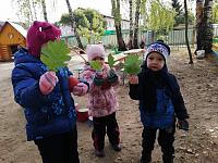 IMG_20190925_110218.jpg
