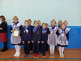 IMG_20260220_154954.png