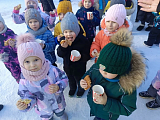 IMG_20260224_114517.png