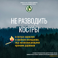 Как избежать возгораний в лесу