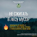 Как избежать возгораний в лесу