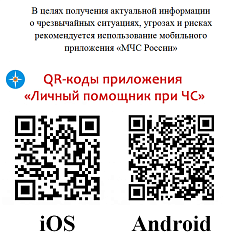 Личный помощник при ЧС