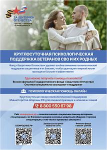 СИСТЕМА ПОДДЕРЖКИ ВЕТЕРАНОВ СВО И СЕМЕЙ ГЕРОЕВ