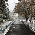 Первый снег 